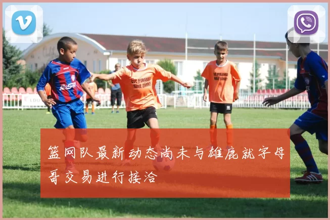 篮网队最新动态尚未与雄鹿就字母哥交易进行接洽